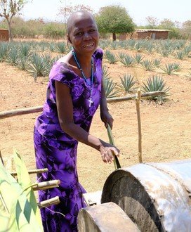 ‘My daughter is stable now and I’m relieved. The income I earn from growing sisal is also helping me put my other children through school.’ By selling sisal fibre, Suzanne can afford better treatment in the city for her daughter who has bone cancer.